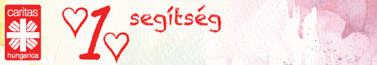 1% segítség - 100% szeretet!